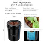 Kit DWC Hidropônico de 5 Galões (18,9 L) - 1 Planta