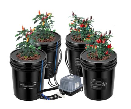 Kit DWC Hidropônico de 5 Galões (18,9 L) - 4 Plantas